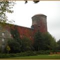 stadtfuerungmitchipdcnwxog